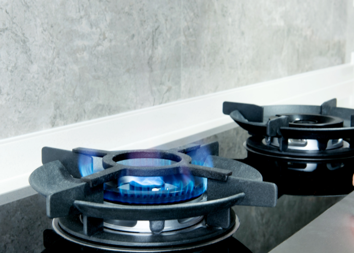 Gas Stove